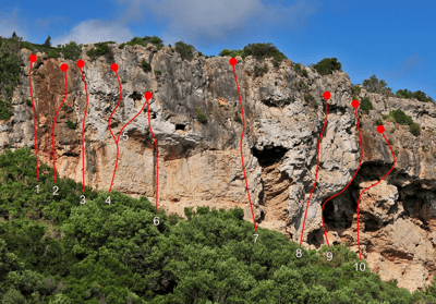 Admirável Mundo Novo