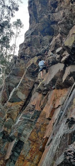 Jurassic Park - Sebolido