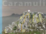 CARAMULINHO - Caramulo - Topo Image