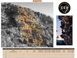 PENICE - Serra d'Arga - Topo Image